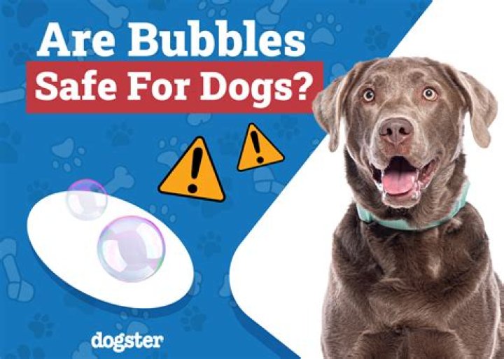Are bubbles safe for dogs?