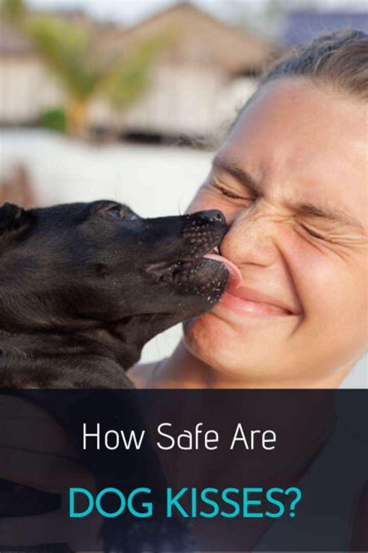 Are dog kisses safe?
