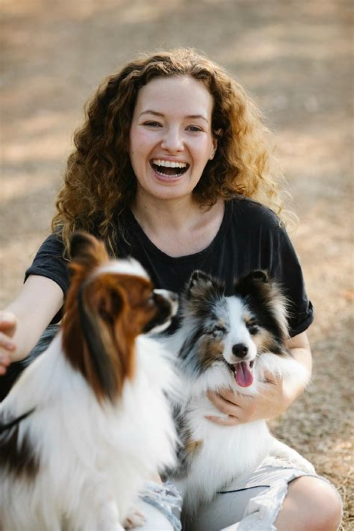 Are dogs happier when there are two?