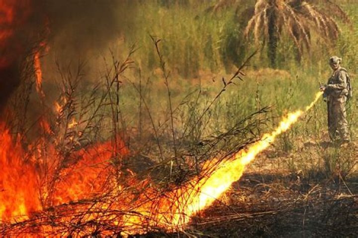 Are flamethrowers a war crime?