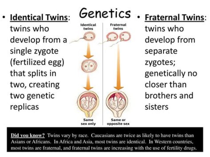 Are fraternal twins genetic?
