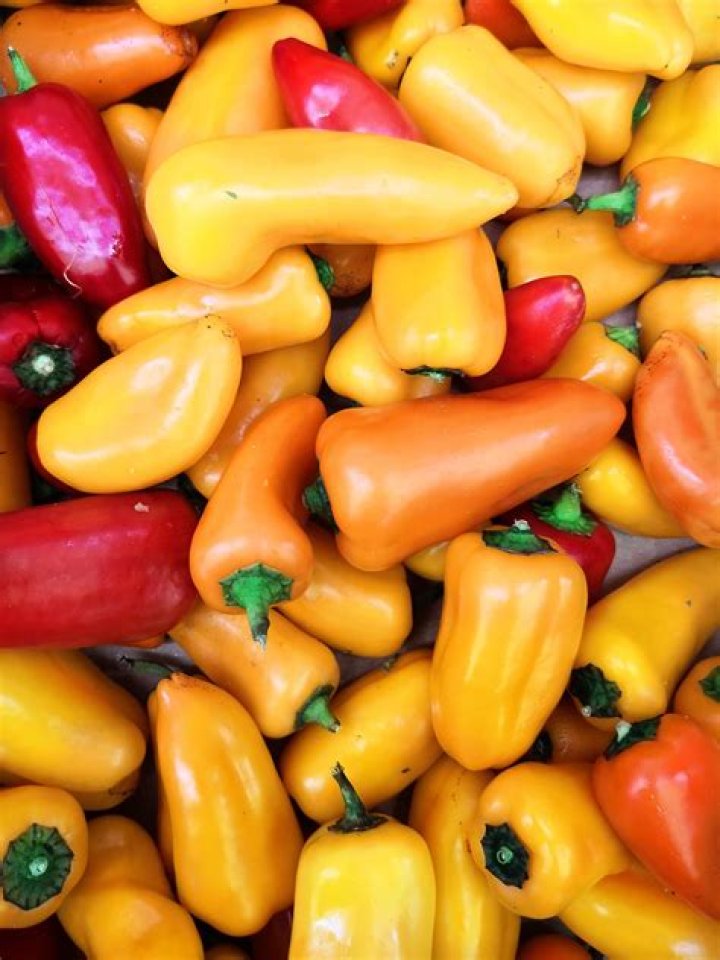 Are mini sweet peppers different from bell peppers?