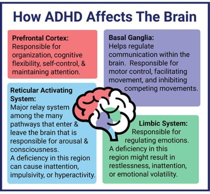 Are people with ADHD responsible for their actions?