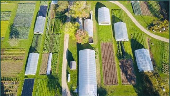 Are small farms profitable?