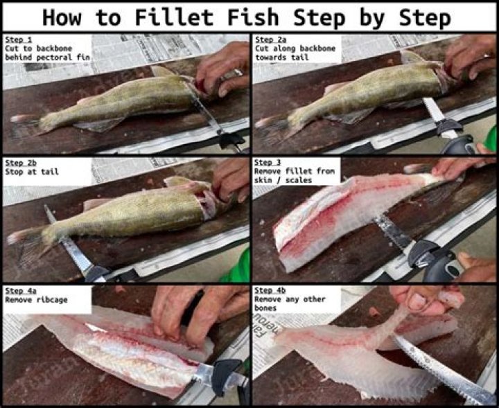 Are you allowed to fillet fish at sea?