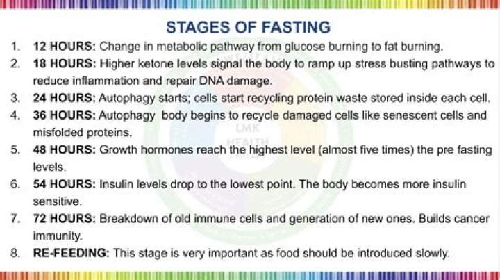 At what stage of fasting does fat burning start?