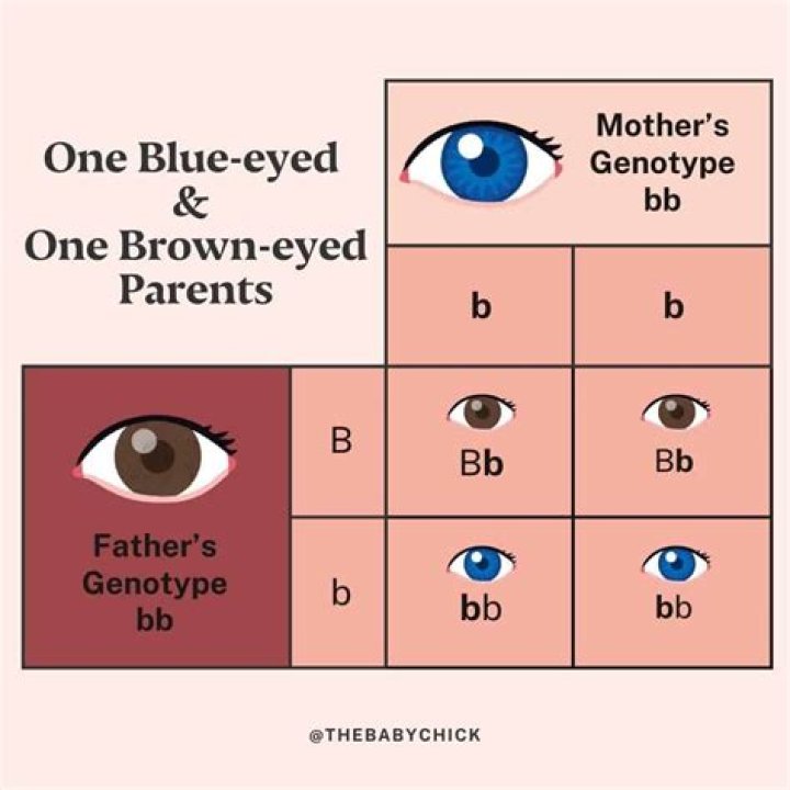 Can 2 blue-eyed parents produce brown eyes?