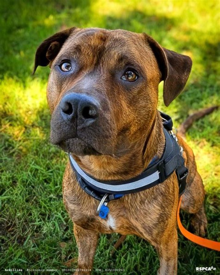 Can a boy be named Precious?