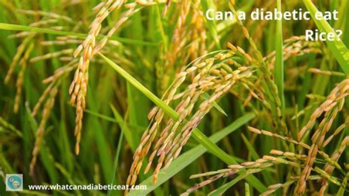 Can a diabetic eat rice?
