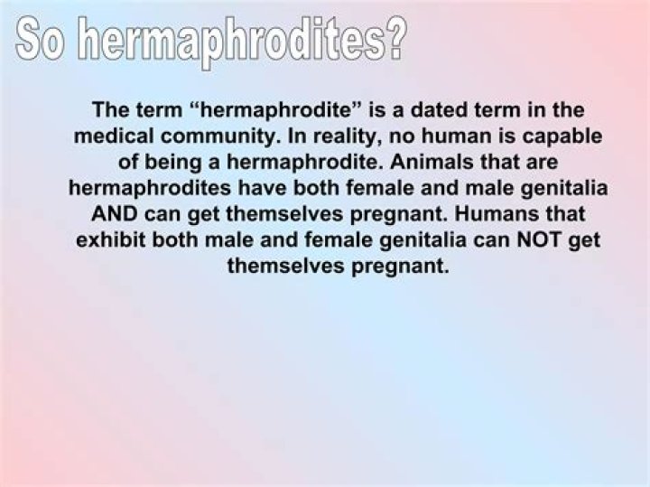 Can a hermaphrodite get themselves pregnant?