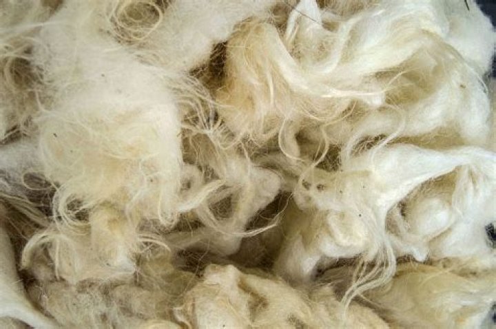 Can alpaca wool be dry cleaned?