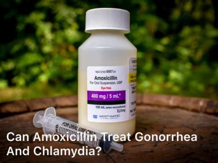 Can amoxicillin treat chlamydia?