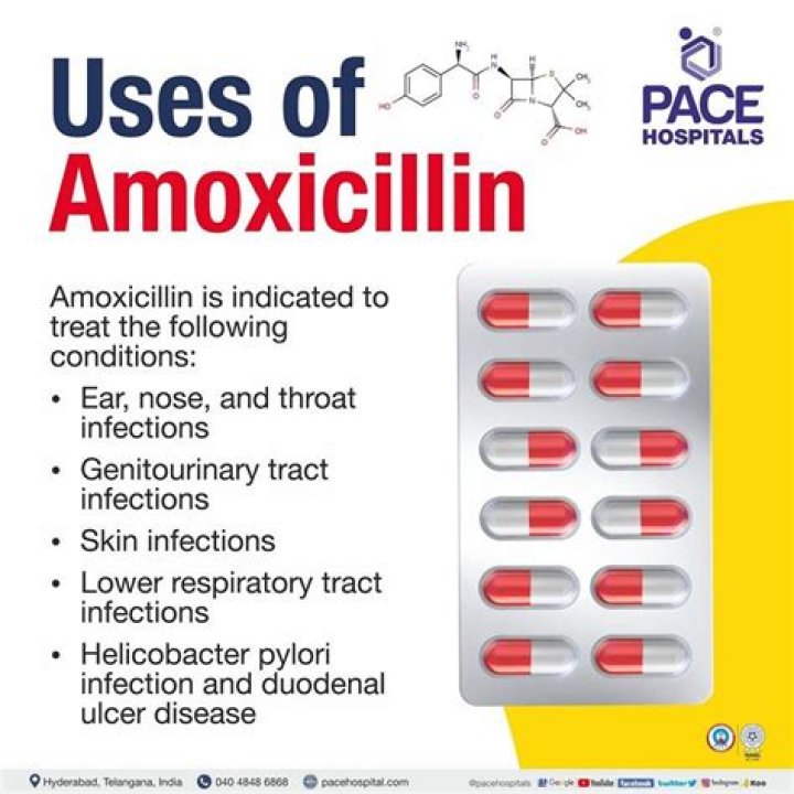Can amoxicillin treat typhoid?