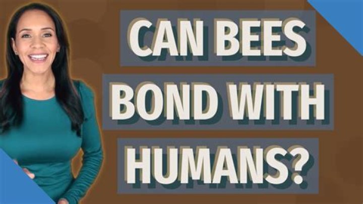 Can bees bond with humans?