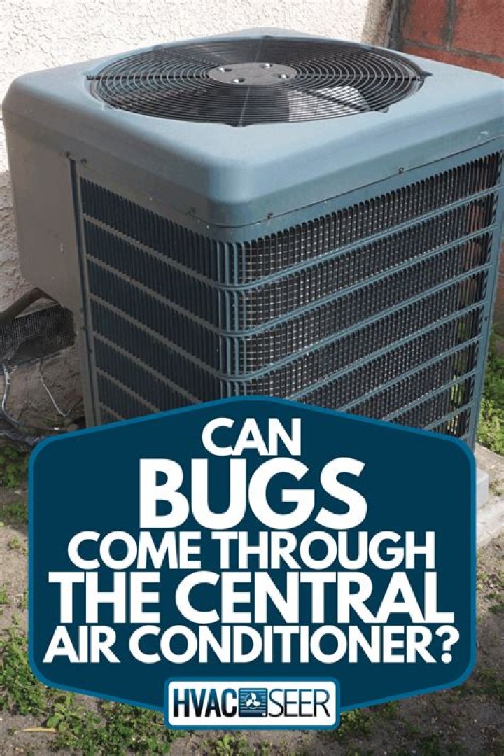 Can bugs come through Central AC?