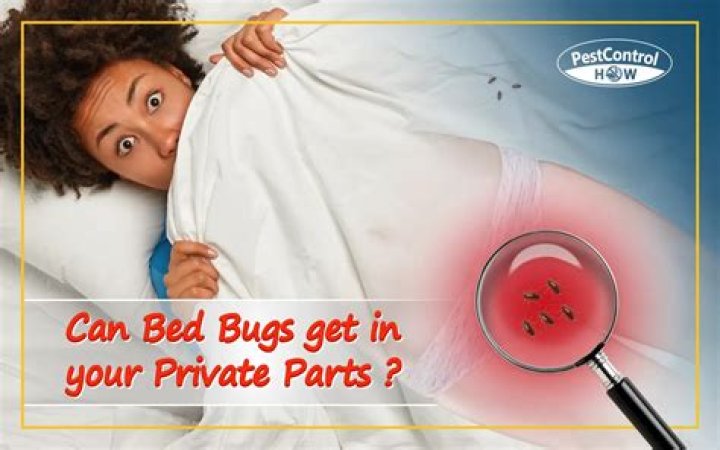 Can bugs get in your private parts?