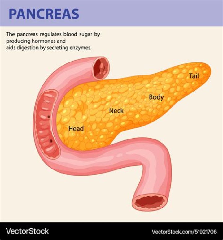 Can chocolate affect your pancreas?