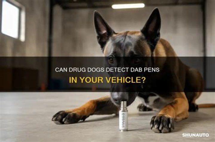 Can drug dogs smell DAB pens?