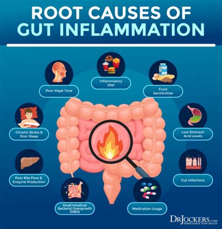 Can eggs cause gut inflammation?