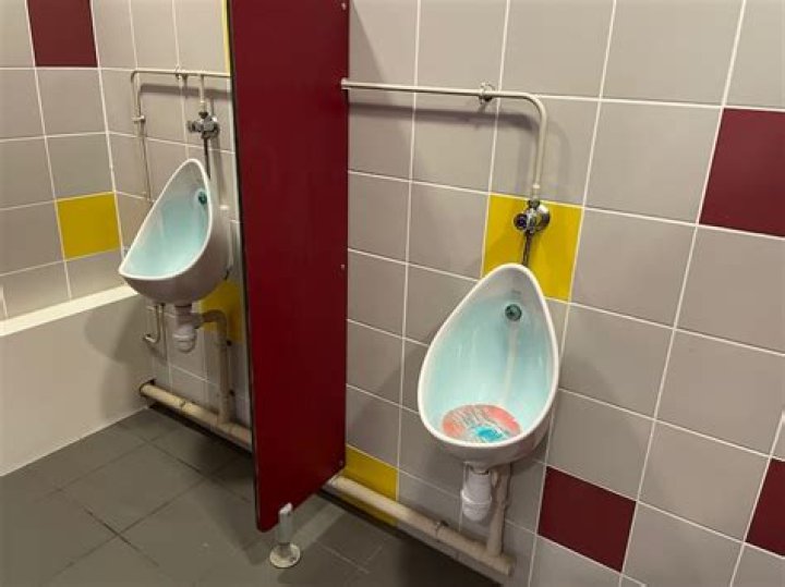 Can I go to the bathroom Irish?