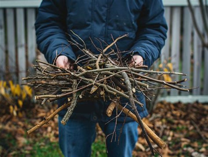 Can I throw my Neighbours branches back NSW?