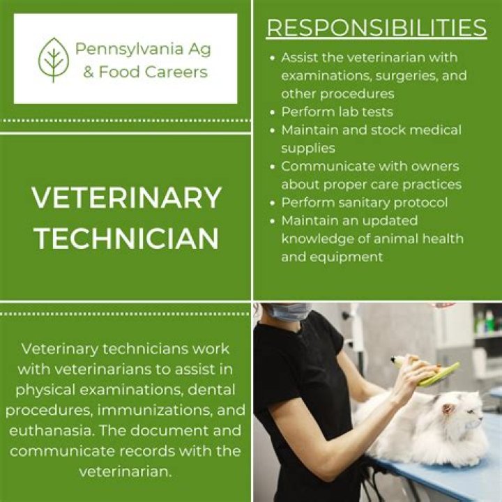 Can men be veterinarians?