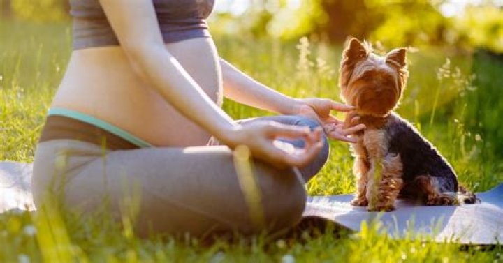 Can my dog hear my baby?