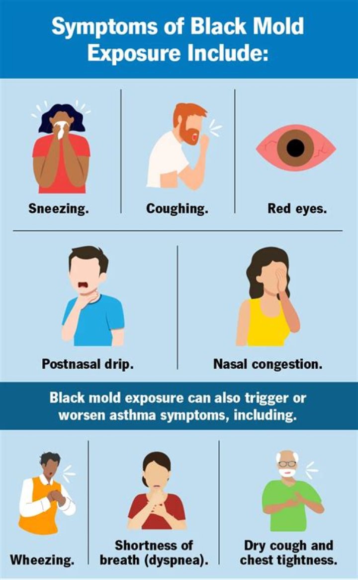 Can orange mold spores make you sick?