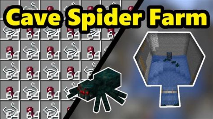 Can spiders spawn in water?