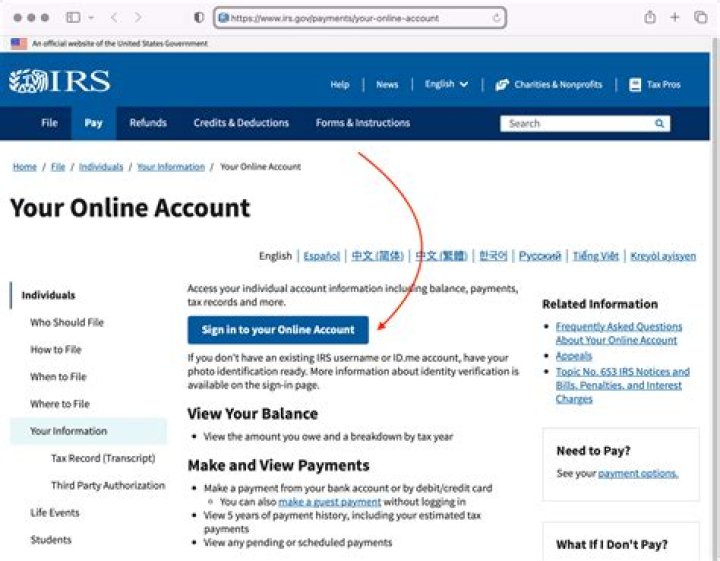 Can the IRS see your bank account?