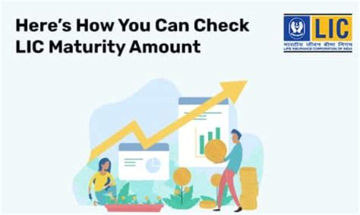 Can we check LIC maturity amount online?