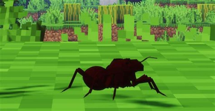 Can weaver ants kill you?