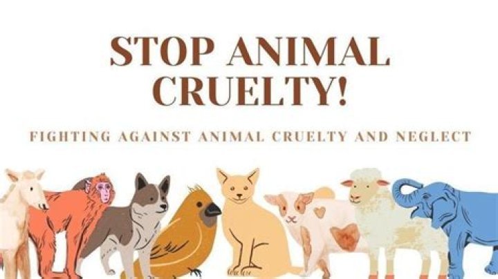 Can you be against animal cruelty and still eat meat?