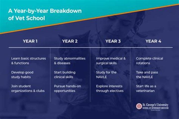 Can you do vet school online?