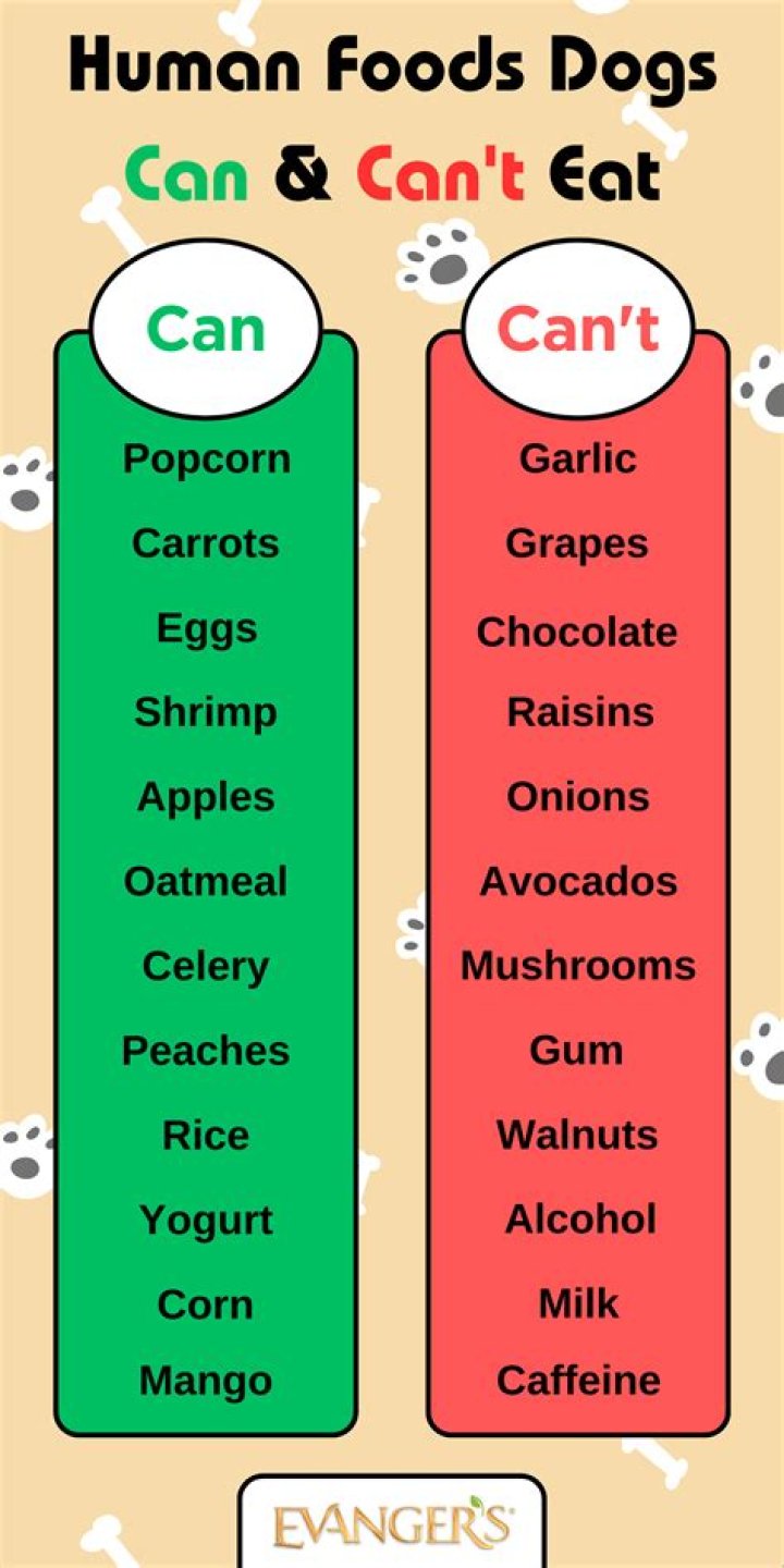 Can you eat food in Airbnb?