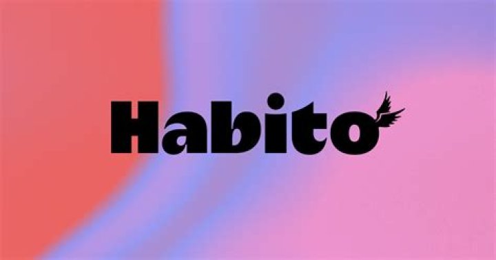 Can you have 2 mortgages at the same time?