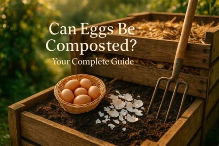 Can you put rotten eggs in compost?
