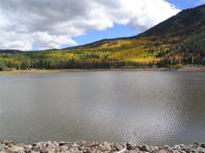 Can you swim in Playa del Carmen in December?