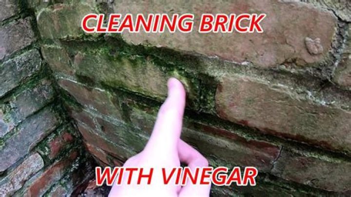 Can you use bleach to clean brick?