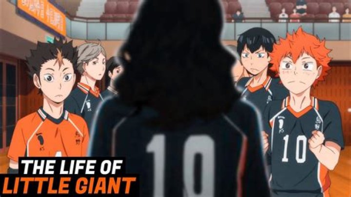 Did Hinata Shoyo Meet Little Giant?