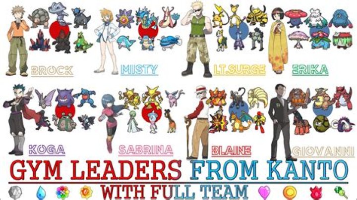 Did Iris become a gym leader?