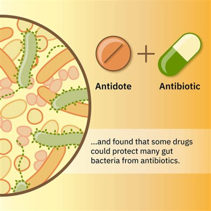 Do antibiotics stop infections from spreading?