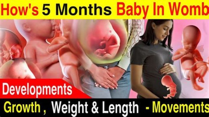 Do babies jump in womb?