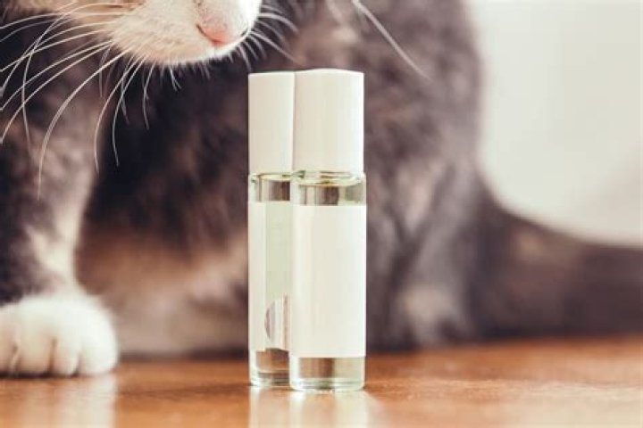 Do cats hate perfume?