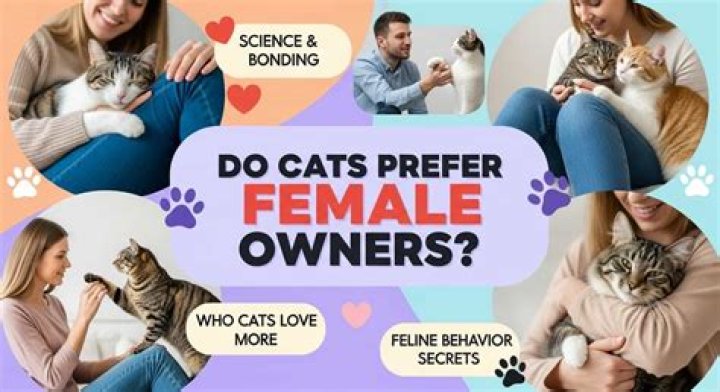 Do female cats prefer female owners?