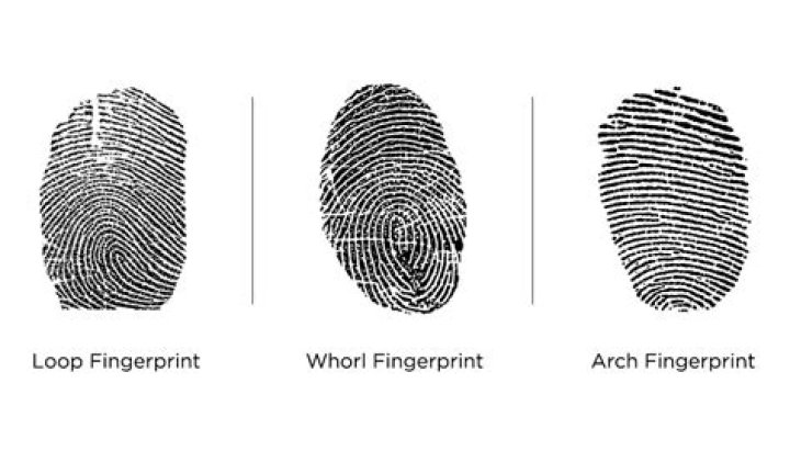 Do fingerprints fade with age?