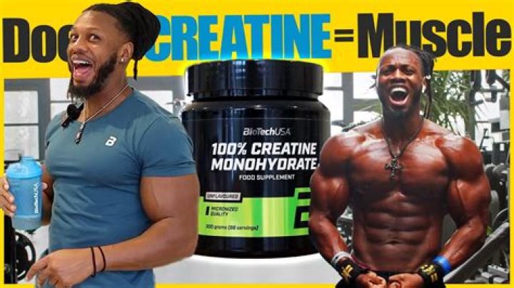 Do I need to take a break from creatine?
