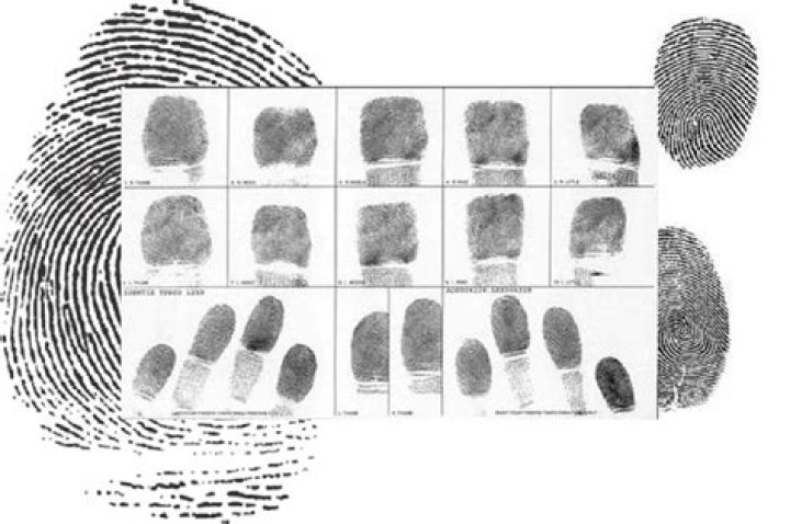 Do police look for fingerprints?