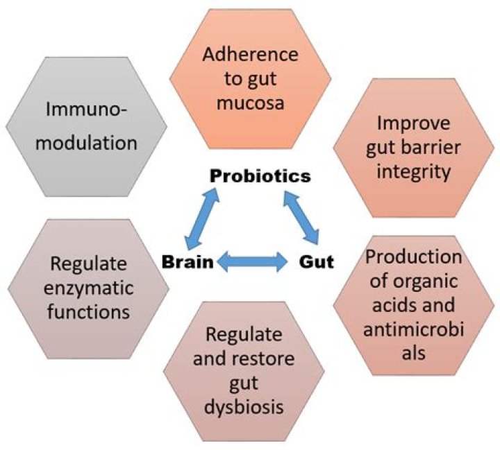 Do probiotics colonize the gut?