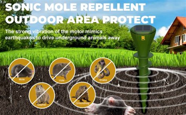 Do sonic mole repellers work on rats?